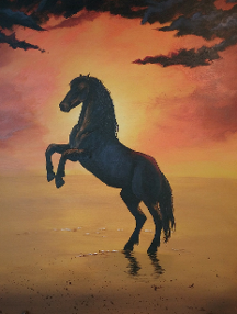 Sunset Stallion